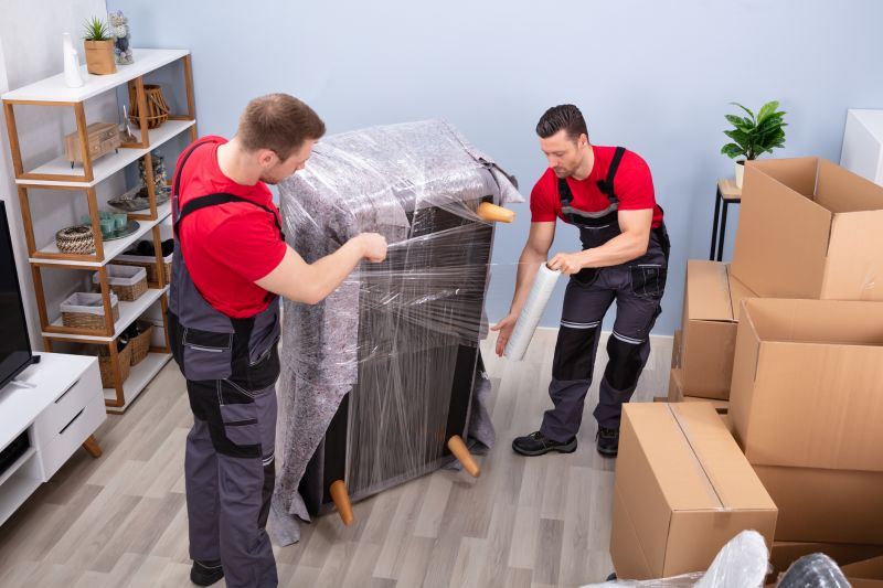 Furniture Moving Professional